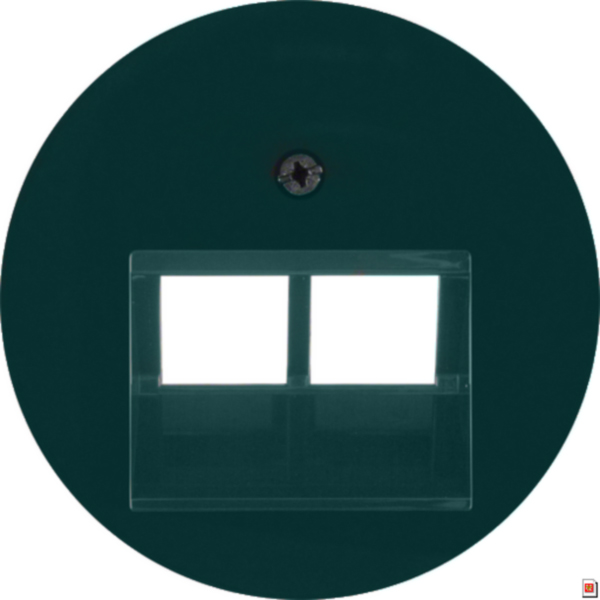 BERKER Zentralplatte UAE/IAE gn matt R:Classic MAN0301124 Schraubbef