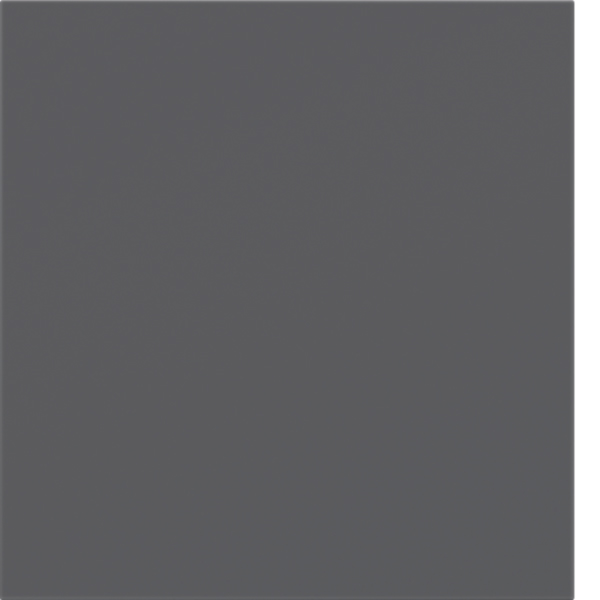 BERKER Wippe 1t Tastsensor anthrazit matt 81181086 Ind. Bedruckung für Bussystem