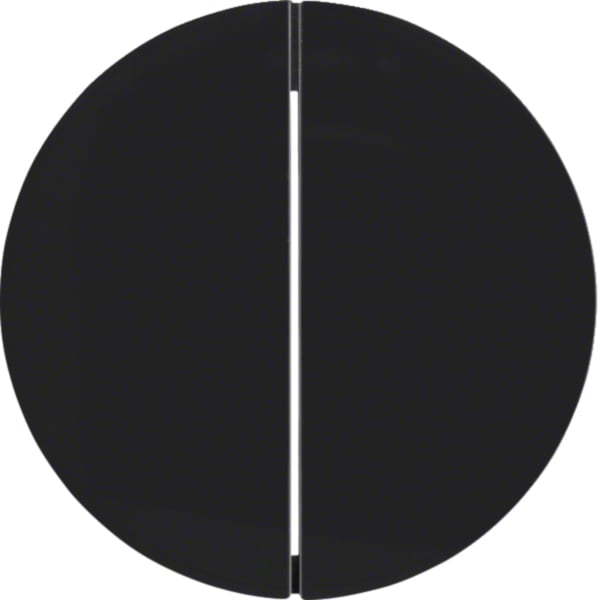 BERKER Wippe Serien Schalter schwarz lackiert R.Classic MAN0306624