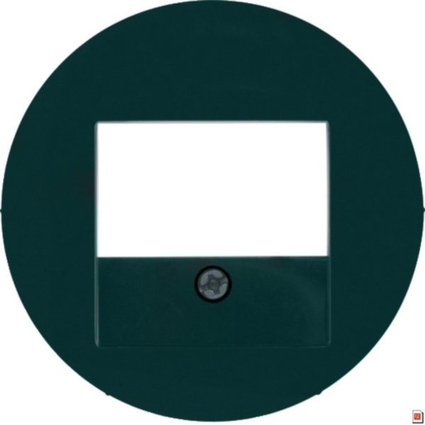 BERKER Zentralplatte TAE gn Schraubbef R:Classic MAN0301024 matt
