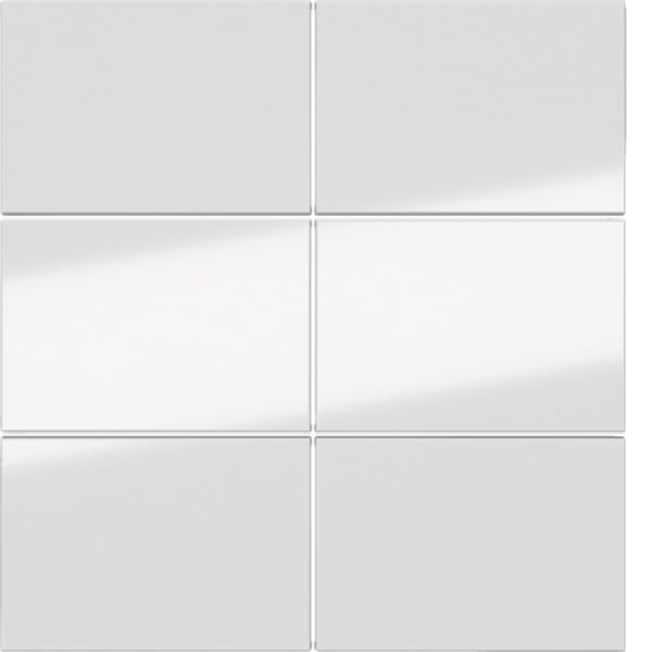 BERKER sechsteilige Taste Tastsensor glänzend 81183080 polws Ind. Bedruckung