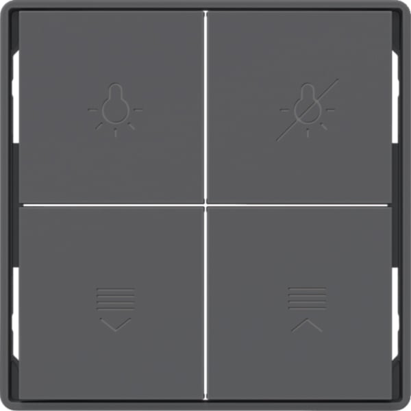 BERKER Taste_4t Tastsensor anthrazit matt BSF 81182226 Ind. Bedruckung für Bussystem