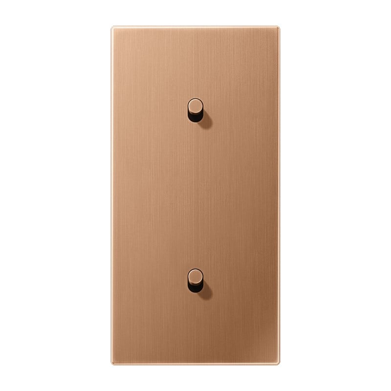 Jung Jung BRG 12-20 R 42 Abdeckung mit Kipphebel "Zylinder" 2-fach 2x1 Kipphebel