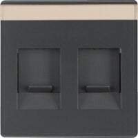 BERKER Zentralplatte RJ45 2-fach schwarz samt MAN0206823 Schraubbef mit Staubschutz