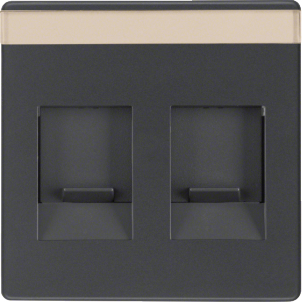 BERKER Zentralplatte RJ45 2-fach schwarz samt MAN0206823 Schraubbef mit Staubschutz