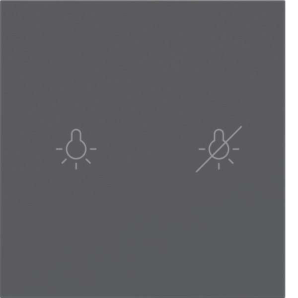 BERKER Wippe 1t Tastsensor anthrazit matt BSF 81181186 Ind. Bedruckung für Bussystem