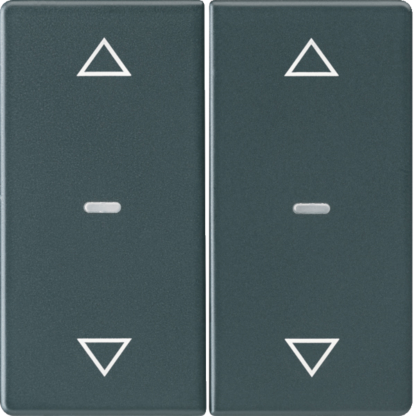 BERKER Wippe Serien Jalousie schwarz samt MAN0202423 Pfeile
