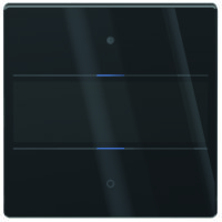 THEBEN Tastsensor LUXORliving Unterputz schwarz glänzend LUXORliving iON2 G BK 2-fach 2pkt LED