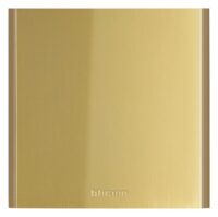 Bticino BT345213 Blindmodul für Türstation LINEA 5000 Abm.(HxB):138x139mm