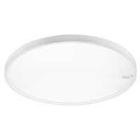 SG LEUCHTEN LED-Anbauleuchte 48W 5389lm 606241 3000-4000K weiß Konverter