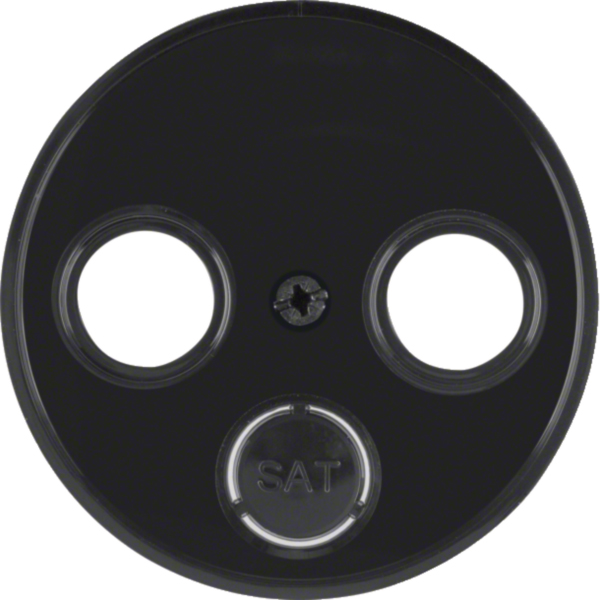 BERKER Zentralplatte UAE/IAE schwarz matt R:Classic MAN0307324 Schraubbef