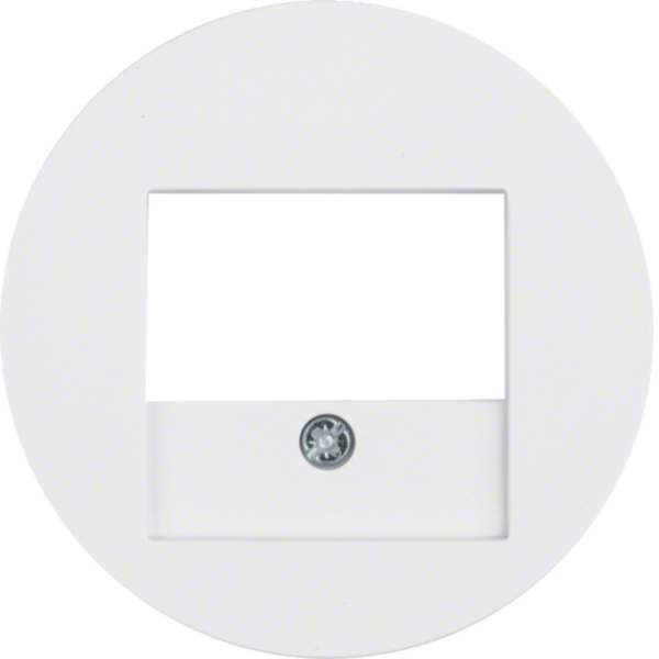 BERKER Zentralplatte TAE polws matt R:Classic MAN0305924 Schraubbef