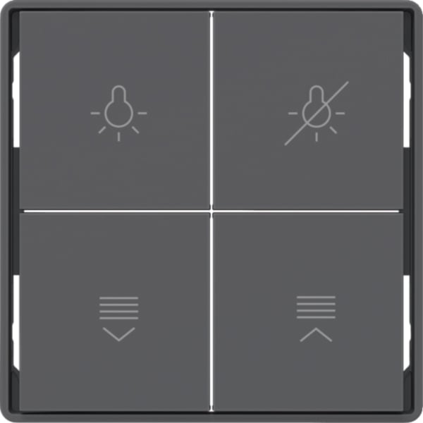 BERKER Taste_4t Tastsensor anthrazit matt BSF 81182126 Ind. Bedruckung für Bussystem