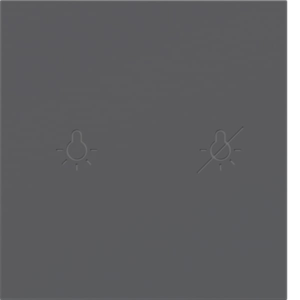 BERKER Wippe 1t Tastsensor anthrazit matt BSF 81181286 Ind. Bedruckung für Bussystem