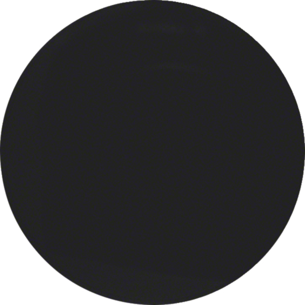 BERKER Wippe Schalter schwarz lackiert R.Classic MAN0306324