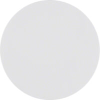 BERKER Wippe 1t Schalter polws lackiert R.Classic MAN0305324