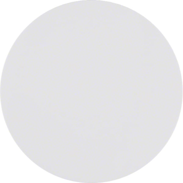 BERKER Wippe 1t Schalter polws lackiert R.Classic MAN0305324