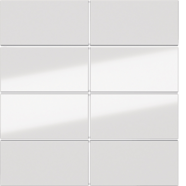 BERKER achtteilige Taste Tastsensor glänzend 81184080 polws Ind. Bedruckung