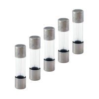 SIEDLE Glassicherung T 0,2A 250V AC T 0,2 A/250 V 5x20mm