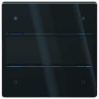 THEBEN Tastsensor LUXORliving Unterputz schwarz glänzend LUXORliving iON4 G BK 4-fach 4pkt LED