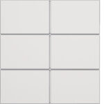 BERKER sechsteilige Taste Tastsensor matt 81183089 polws Ind. Bedruckung