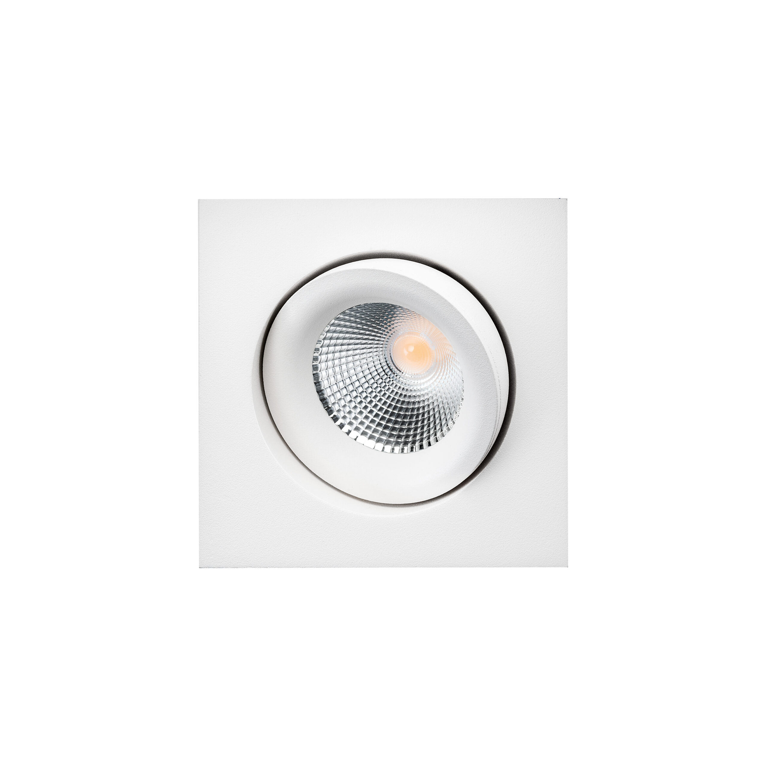 SG LEUCHTEN LED-Einbaustrahler 8W Konverter Junistar Lux 902600 DALI 1LED weiß 3000K