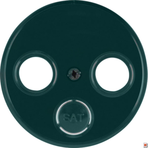 BERKER Zentralplatte gn Schraubbef matt R:Classic MAN0301224 ohne Beschriftungsf