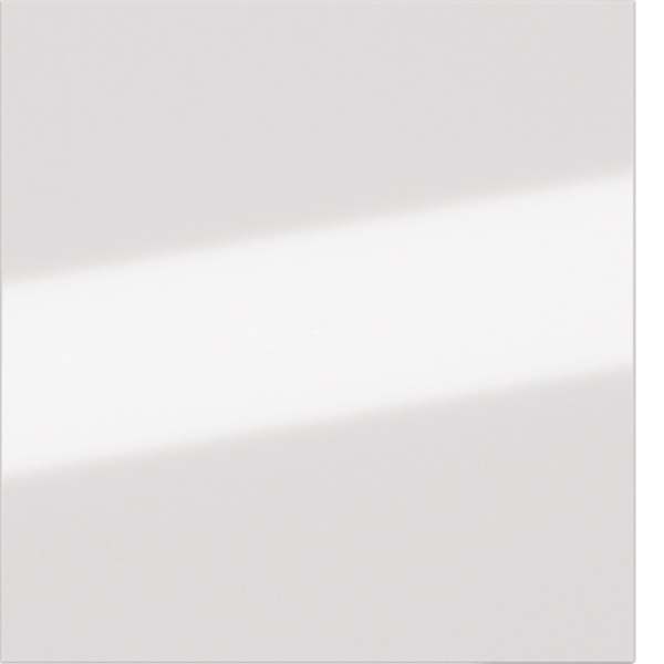 BERKER Wippe 1t Tastsensor polws glänzend 81181080 Ind. Bedruckung für Bussystem