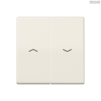 Jung BRG 12-5 PK 42 Abdeckung mit Kipphebel "Kegel" 1-fach 2 Kipphebel