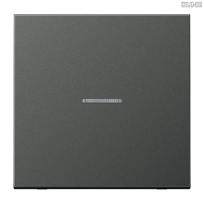 Jung BRG 12-5 PK 42 Abdeckung mit Kipphebel "Kegel" 1-fach 2 Kipphebel