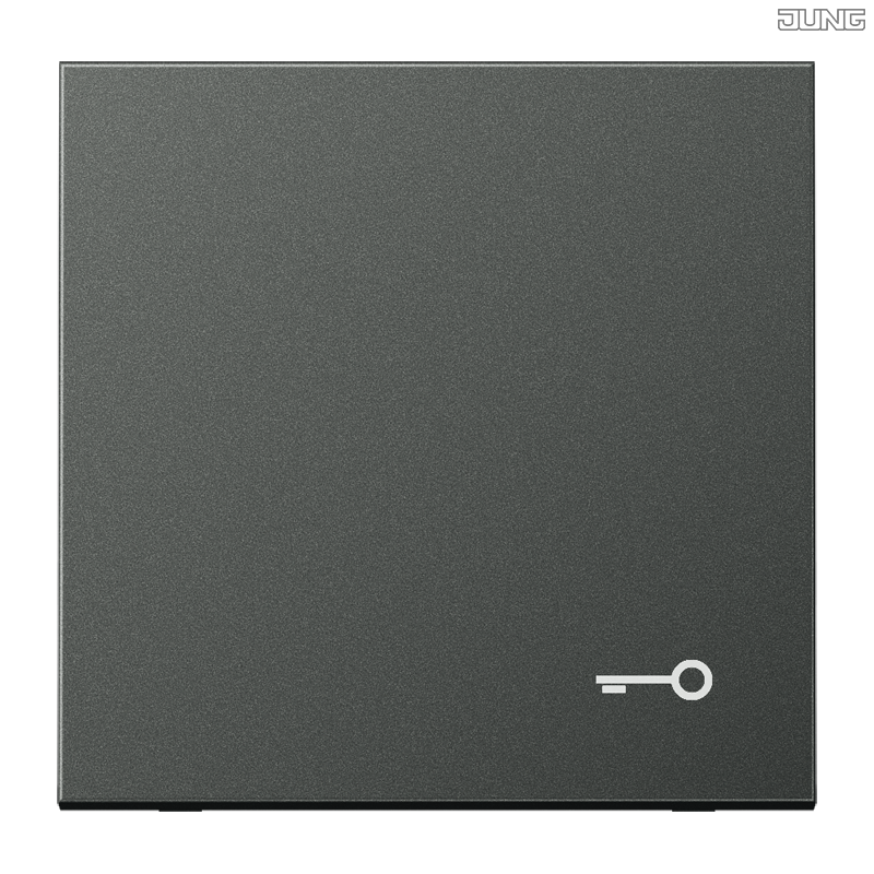 Jung BRG 12-5 PK 42 Abdeckung mit Kipphebel "Kegel" 1-fach 2 Kipphebel