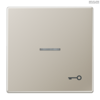 Jung BRG 12-5 PK 42 Abdeckung mit Kipphebel "Kegel" 1-fach 2 Kipphebel