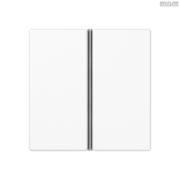 Jung BRG 12-5 PK 42 Abdeckung mit Kipphebel "Kegel" 1-fach 2 Kipphebel