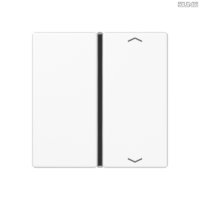 Jung BRG 12-5 PK 42 Abdeckung mit Kipphebel "Kegel" 1-fach 2 Kipphebel