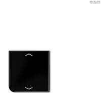 Jung BRG 12-5 PK 42 Abdeckung mit Kipphebel "Kegel" 1-fach 2 Kipphebel