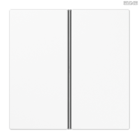 Jung BRG 12-5 PK 42 Abdeckung mit Kipphebel "Kegel" 1-fach 2 Kipphebel