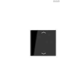 Jung BRG 12-5 PK 42 Abdeckung mit Kipphebel "Kegel" 1-fach 2 Kipphebel