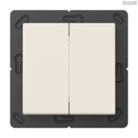 Jung BRG 12-5 PK 42 Abdeckung mit Kipphebel "Kegel" 1-fach 2 Kipphebel