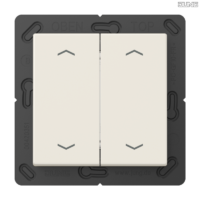 Jung BRG 12-5 PK 42 Abdeckung mit Kipphebel "Kegel" 1-fach 2 Kipphebel