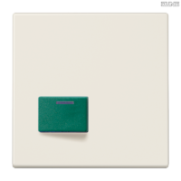 Jung BRG 12-5 PK 42 Abdeckung mit Kipphebel "Kegel" 1-fach 2 Kipphebel