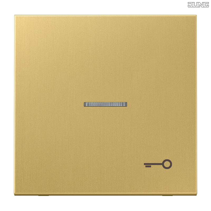 Jung BRG 12-5 PK 42 Abdeckung mit Kipphebel "Kegel" 1-fach 2 Kipphebel