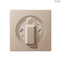 Jung BRG 12-5 PK 42 Abdeckung mit Kipphebel "Kegel" 1-fach 2 Kipphebel