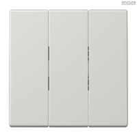 Jung BRG 12-5 PK 42 Abdeckung mit Kipphebel "Kegel" 1-fach 2 Kipphebel