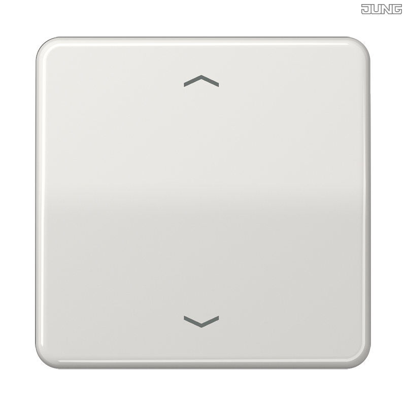 Jung BRG 12-5 PK 42 Abdeckung mit Kipphebel "Kegel" 1-fach 2 Kipphebel