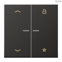 Jung BRG 12-5 PK 42 Abdeckung mit Kipphebel "Kegel" 1-fach 2 Kipphebel