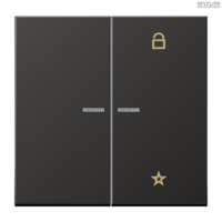 Jung BRG 12-5 PK 42 Abdeckung mit Kipphebel "Kegel" 1-fach 2 Kipphebel
