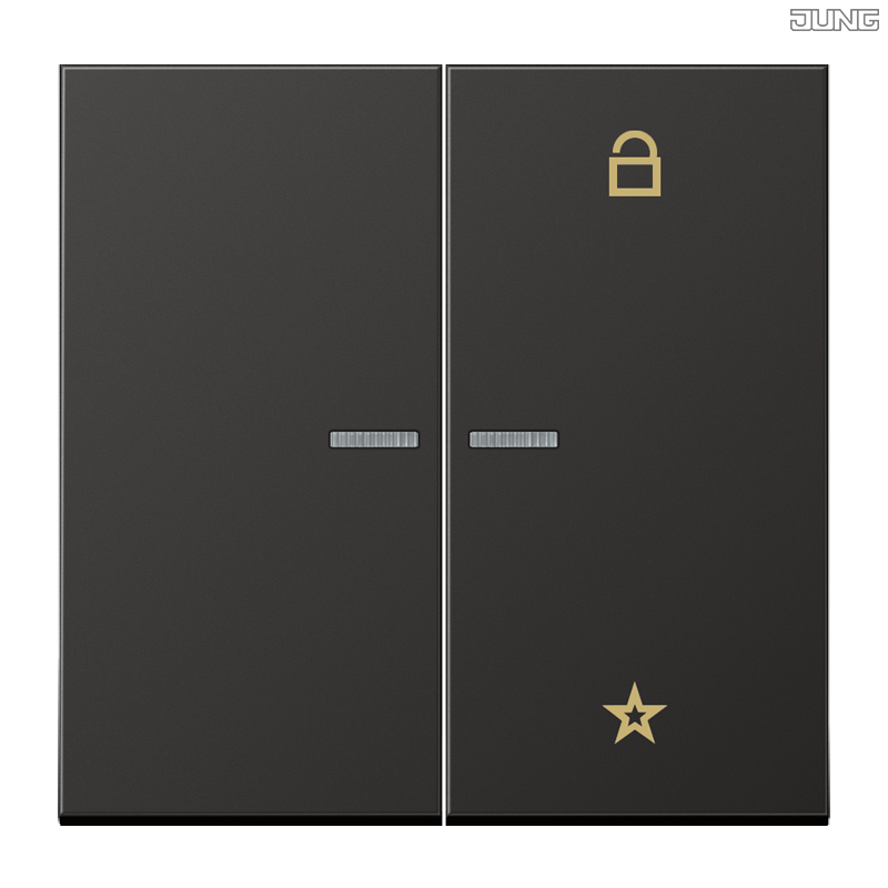 Jung BRG 12-5 PK 42 Abdeckung mit Kipphebel "Kegel" 1-fach 2 Kipphebel