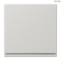 Jung BRG 12-5 PK 42 Abdeckung mit Kipphebel "Kegel" 1-fach 2 Kipphebel