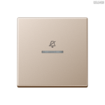 Jung BRG 12-5 PK 42 Abdeckung mit Kipphebel "Kegel" 1-fach 2 Kipphebel