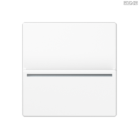 Jung BRG 12-5 PK 42 Abdeckung mit Kipphebel "Kegel" 1-fach 2 Kipphebel